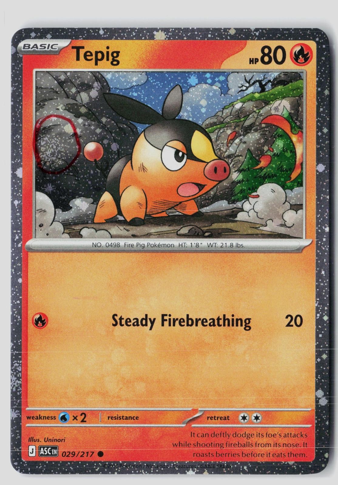 Tepig (Cosmos Holo) 029/217 Common Pokemon NM Uninori