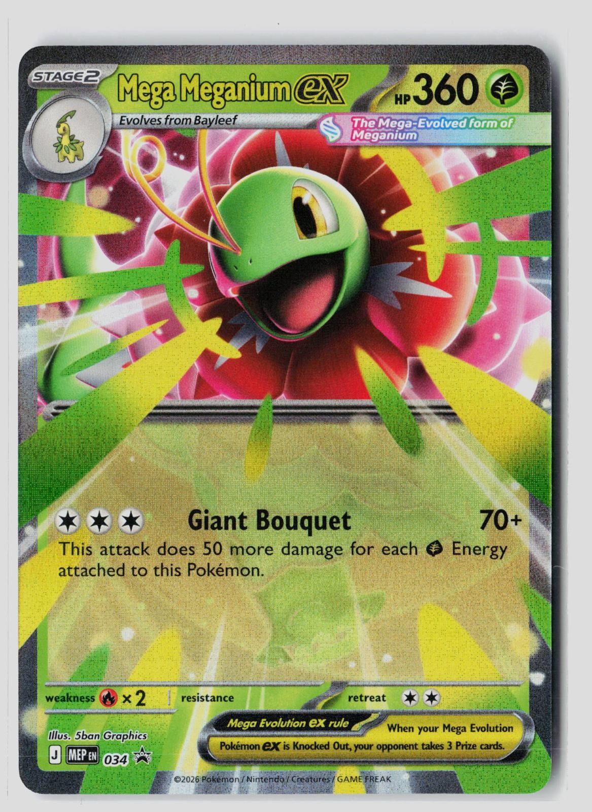 Mega Meganium ex 034 Promo Mega Evolution Holo Pokemon NM 5ban Graphics